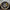 Holden HSV 22 inch GTSR SV Panorama Reproduction Wheels Polished GTS
